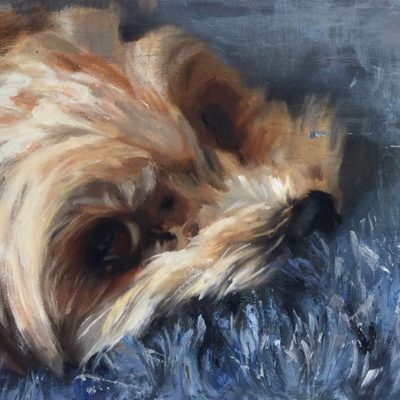 Original oil paintings